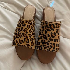 Leopard print platform slides. Size 7M